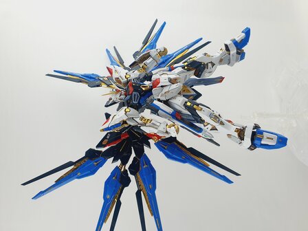 Delpi-Decal MGEX Strike Freedom Goud Normaal