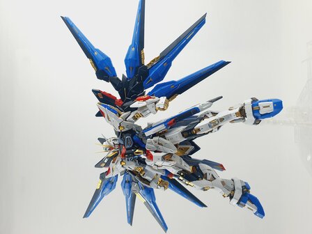 Delpi-Decal MGEX Strike Freedom Goud Normaal