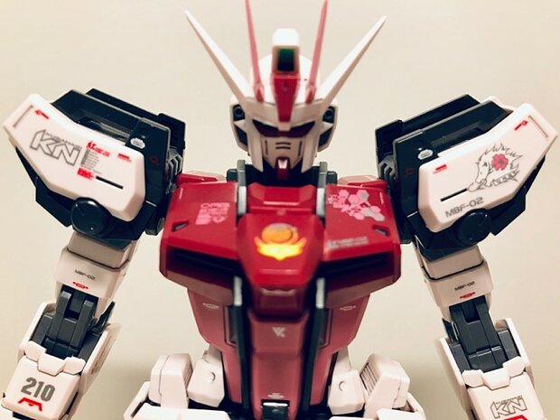 Delpi-Decal MG Strike Rouge + Ootori