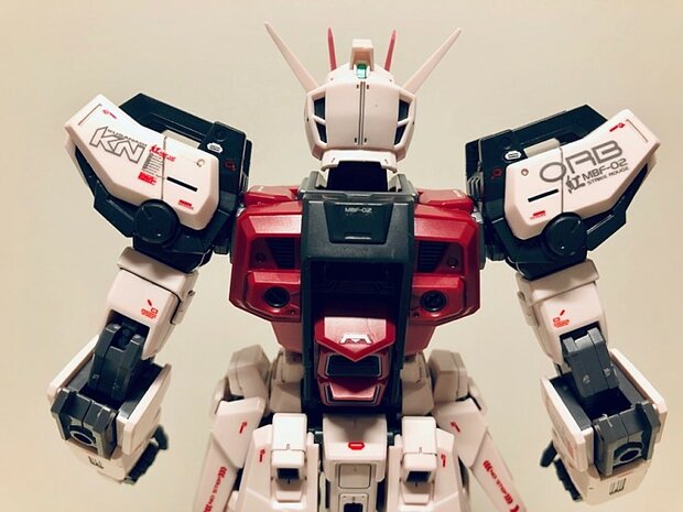 Delpi-Decal MG Strike Rouge + Ootori