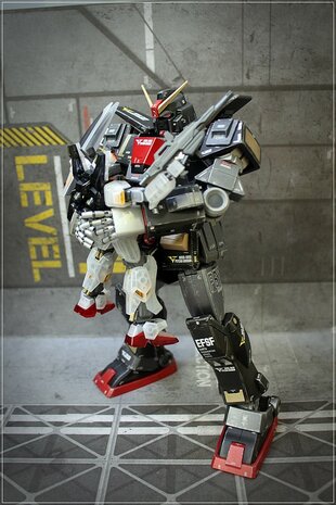 Delpi-Decal HG Psycho Normaal