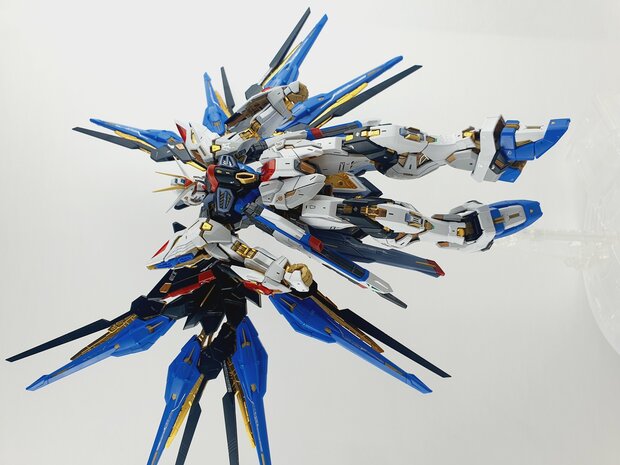 Delpi-Decal MGEX Strike Freedom Zilver Holo