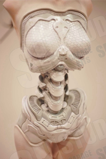 1/8 SH Studio Android EL01 Full Statue