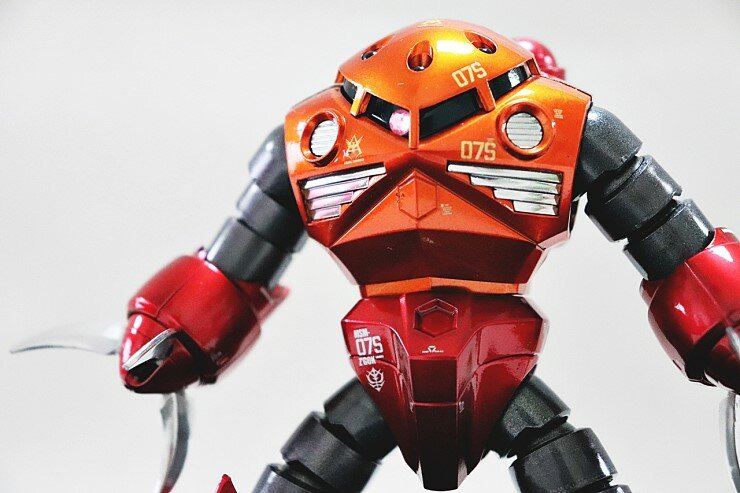 Delpi-Decal RG Z&#039;Gok Lichtgevend