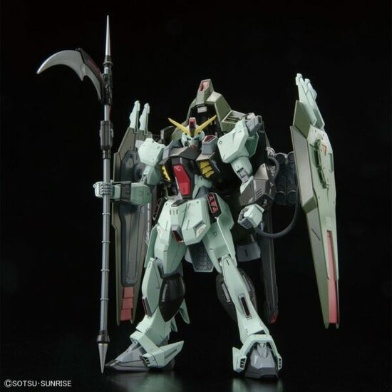 1/100 FM GAT-X252 Forbidden Gundam