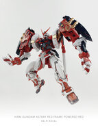 Delpi-Decal HIRM Astray Powered Rood Holo