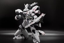 Delpi-Decal  RG Sazabi Rood Holo