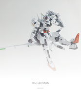 Delpi-Decal HG Calibarn Normaal